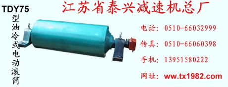 供应TDY/WDT/WBT/WXT/DY1电动滚筒